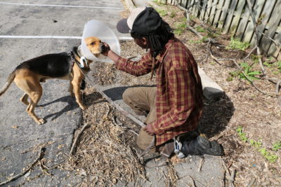 Pet Outreach