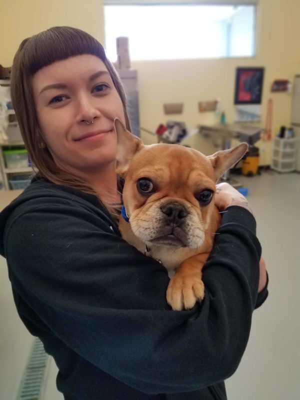 There are always cute puppies and kittens in our spay and neuter suite.