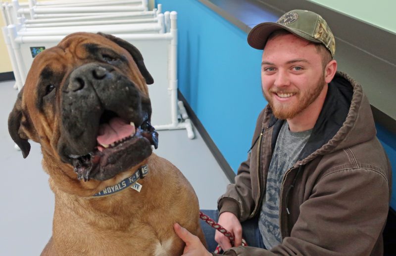 A man and his dog look at the camera