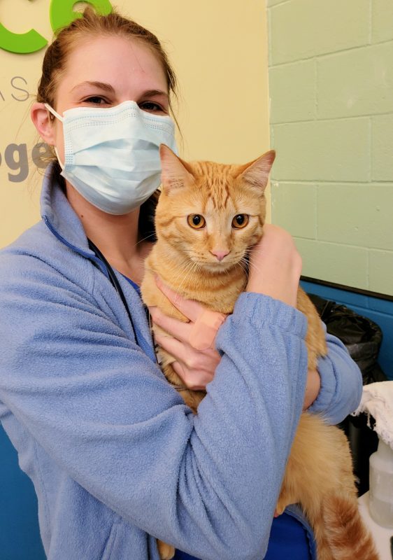 Hugging the dogs and cats who come to visit is a staff favorite. 