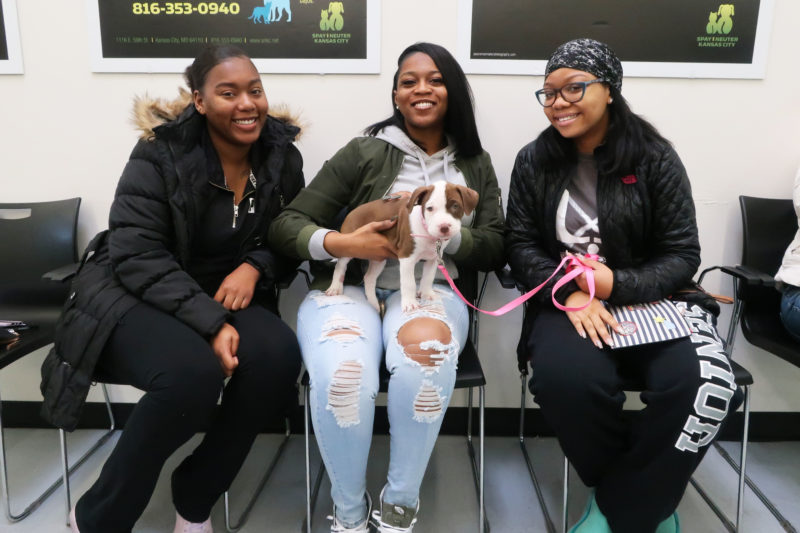 Clients in the waiting room of Pet Resource Center of Kansas City wellness clinic.