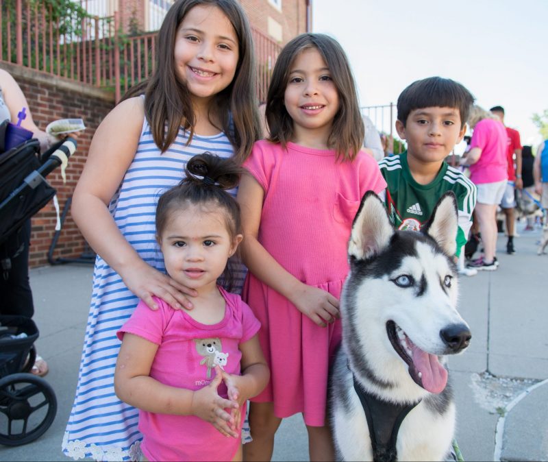 kids with black and white husky