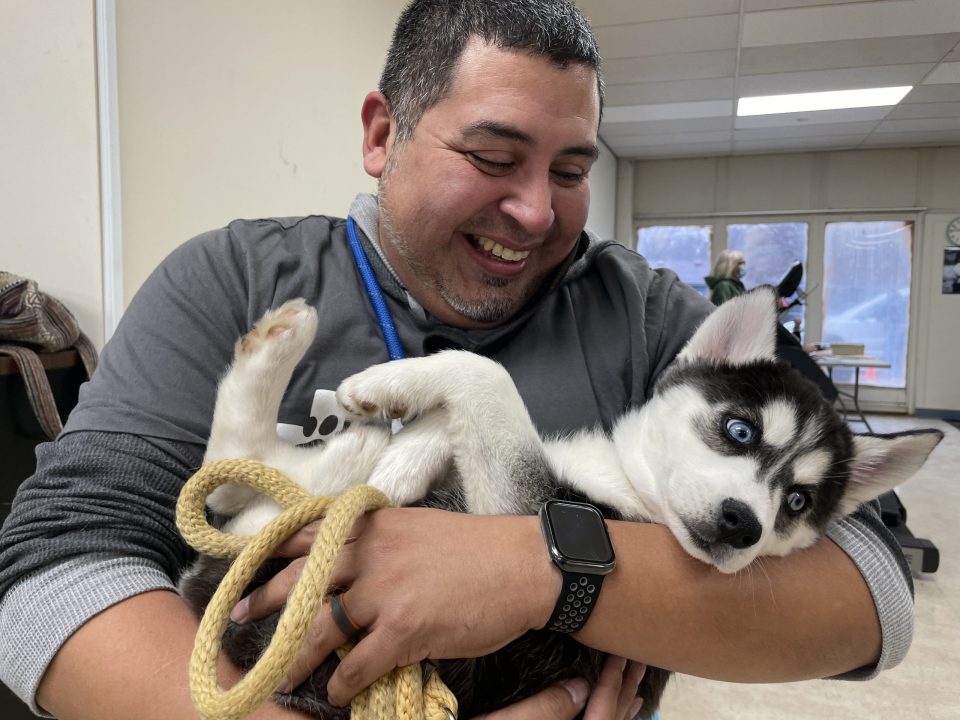 man carrying husky puppy like a baby