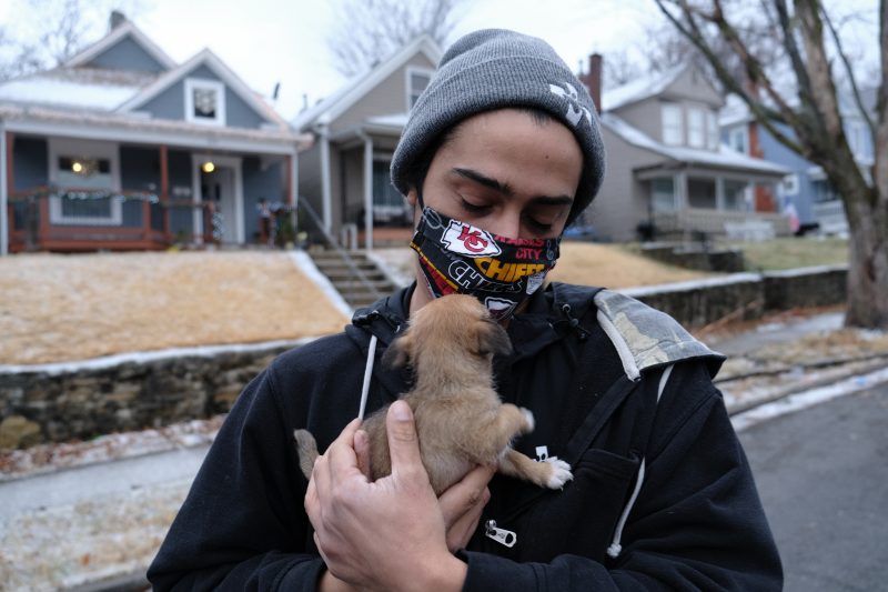 hugging a small chihuahua puppy