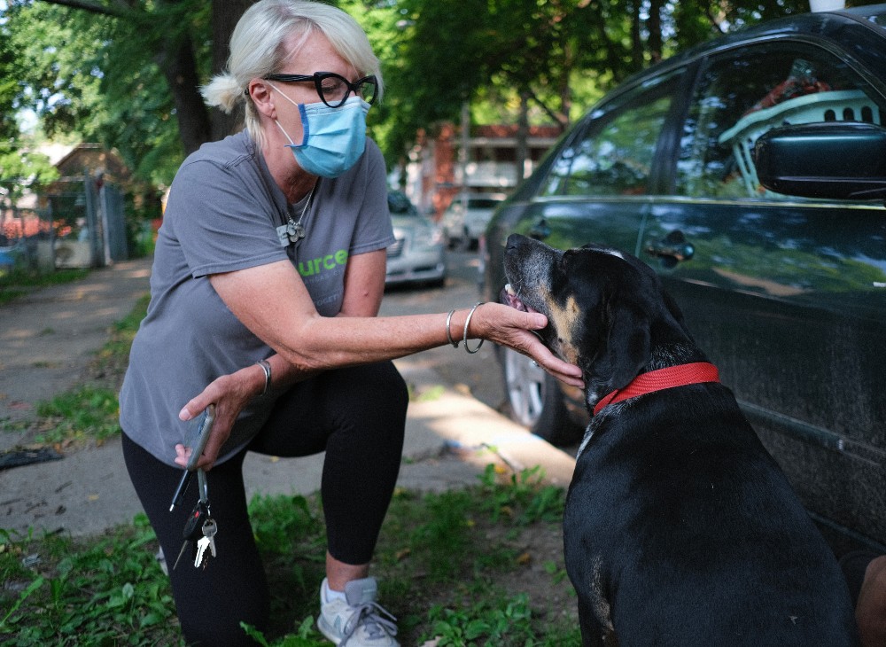 Helping dogs and cats in Kansas City has required more effort since the COVID pandemic.