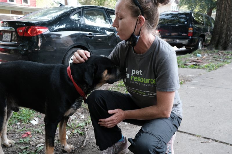 The PRCKC outreach team hits the streets of Kansas City to help dogs and cats.