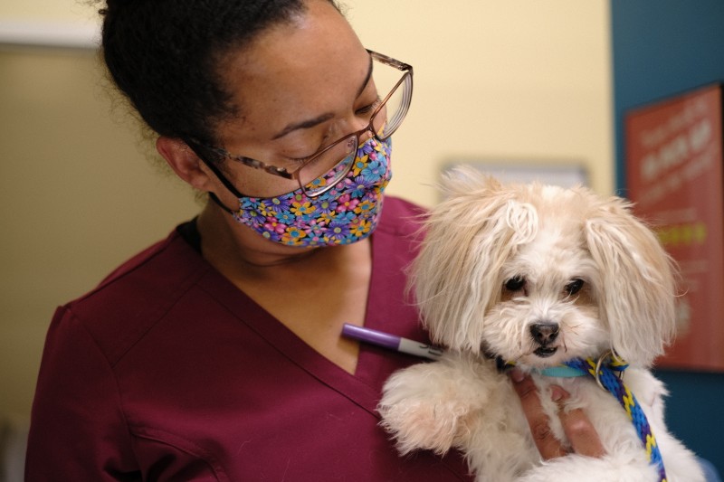 Our veterinarians and all of our staff love dogs and cats and want to help their human friends with whatever they need.
