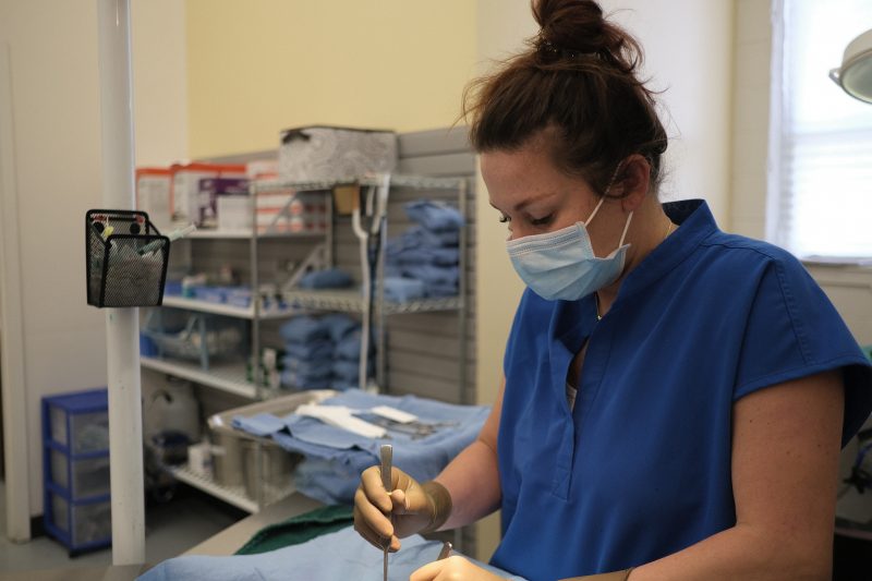 Spay and neuter surgeries are a central part of what we do. 