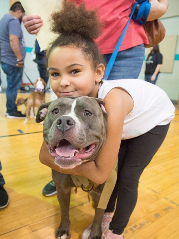 Pit bulls are still banned in towns around Kansas City. These dog lovers  are fighting for a repeal