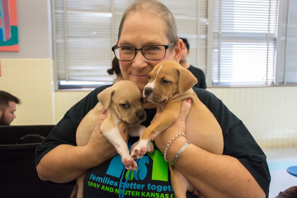 Puppies and kittens make great friends. And by helping their human families, we help them.