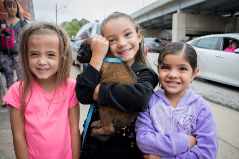 Kids who grow up with pets have fewer allergies and have a tendency to show more love and compassion. 