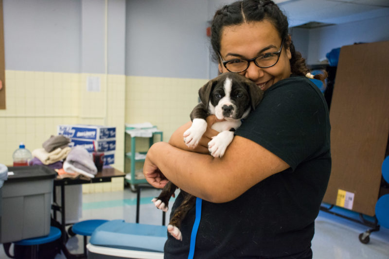 Alicia shows what we're about ... the human animal bond. 