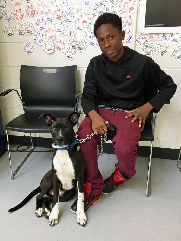 Teenage boy smiling next to his dog all grown up