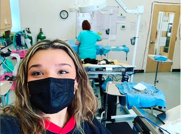 high school intern shadowing spay and neuter surgeries