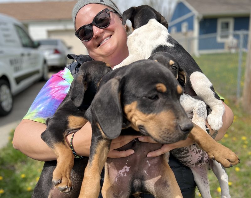 Helping people with puppies.