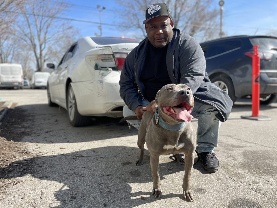 man kneeling by his pit bull's side