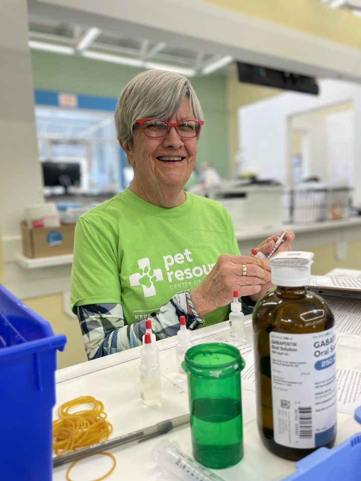 volunteer preparing pain medication for pets