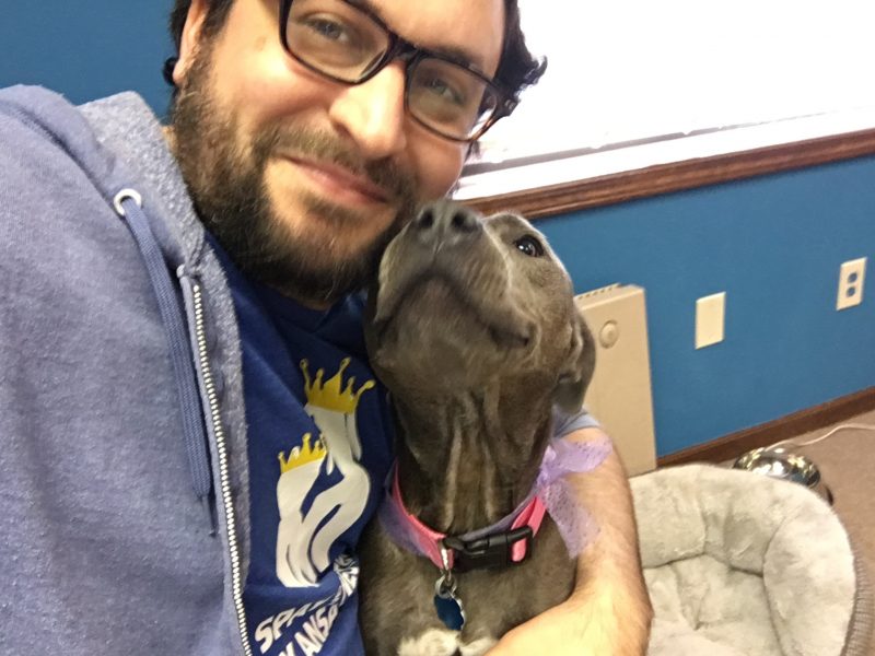 man hugging pit bull in pink collar