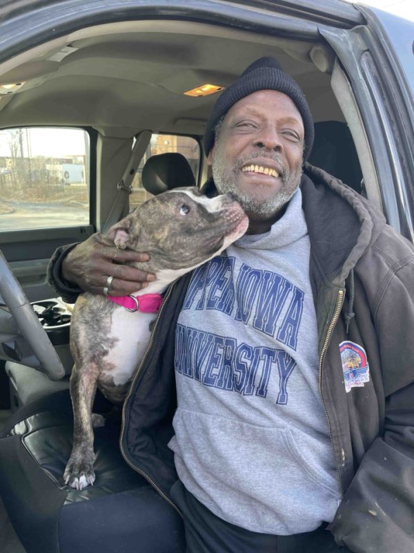 brindle and white pit bull licking her owner in the face