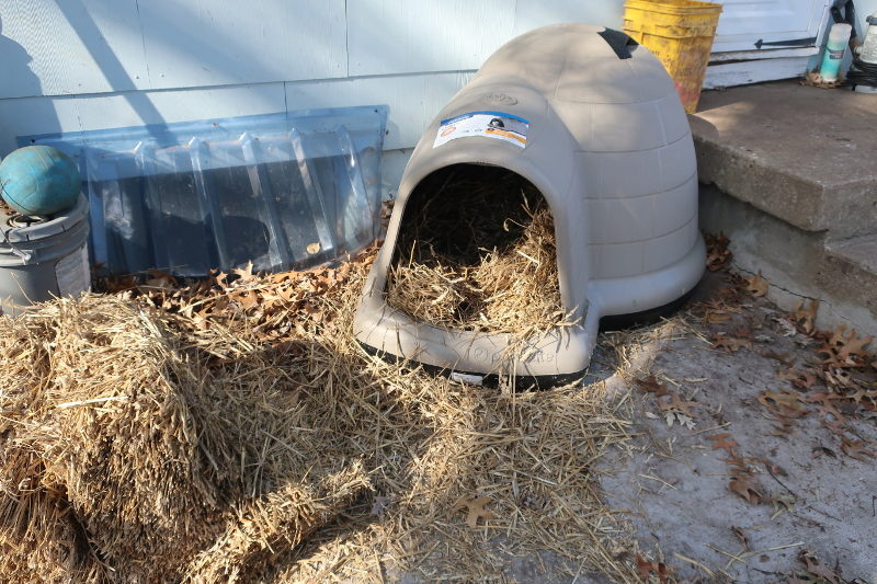 Dog houses and straw and can save lives. 