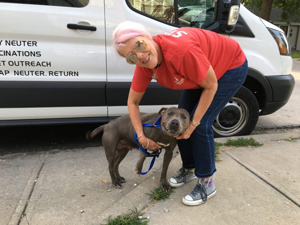 woman hugging blue pit bull outside