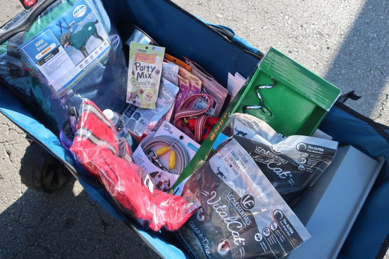 Wagon full of pet supplies