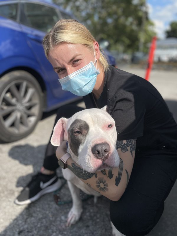 woman hugging pit bull