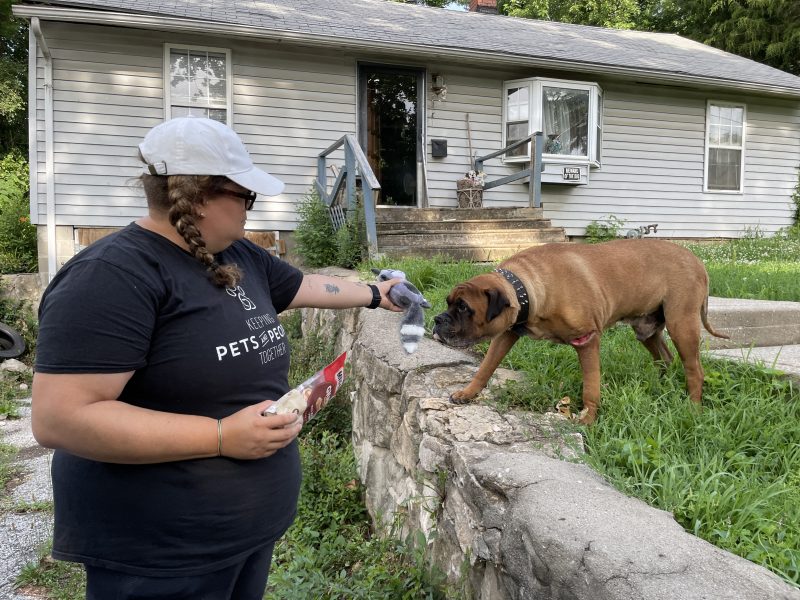 outreach team member giving dog a toy