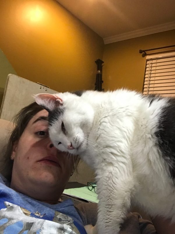 a woman's face is partially blocked by a black and white cat rubbing its face on hers