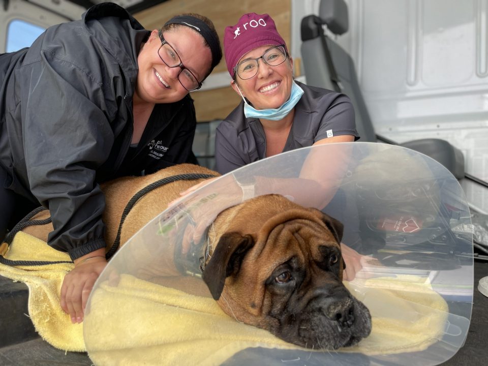 veterinarian and tech smiling and hugging patient after surgery