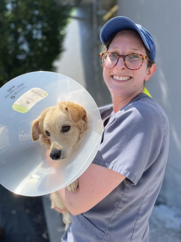 woman carrying dog after surgery
