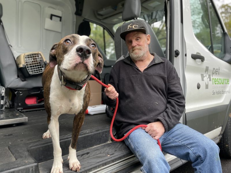 man with his brindle pit bull