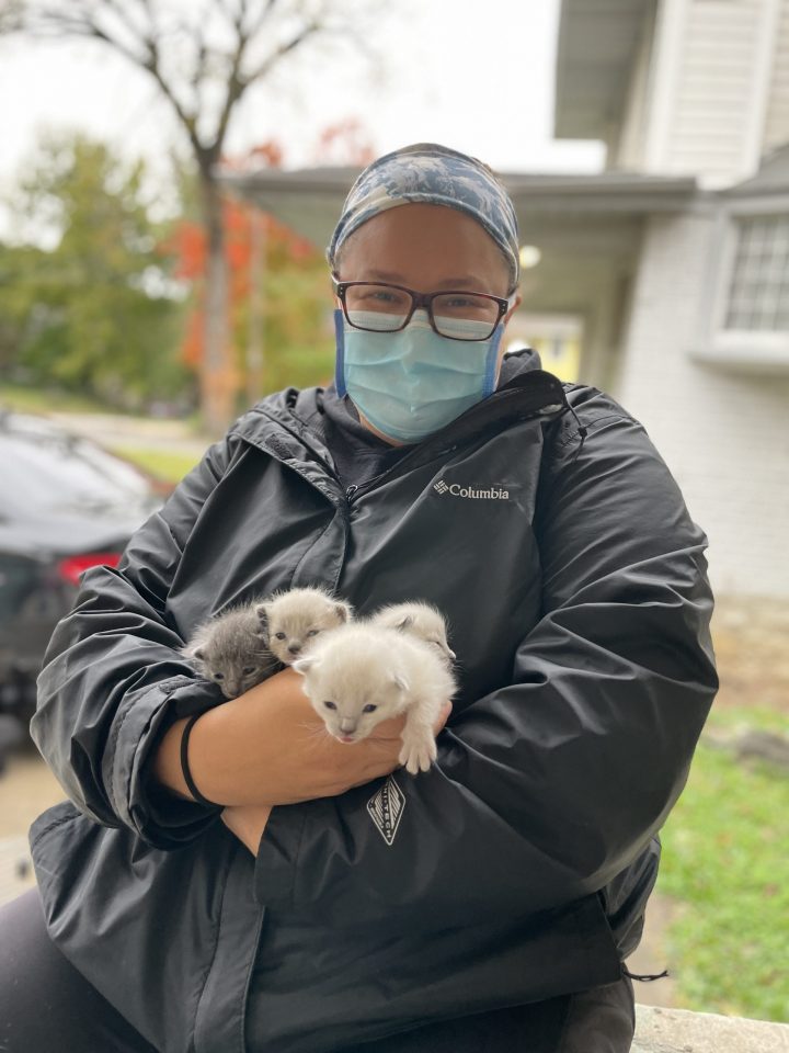 woman holding litter of kittens