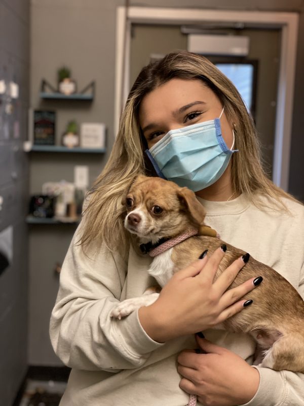 young teen hugging chihuahua mix