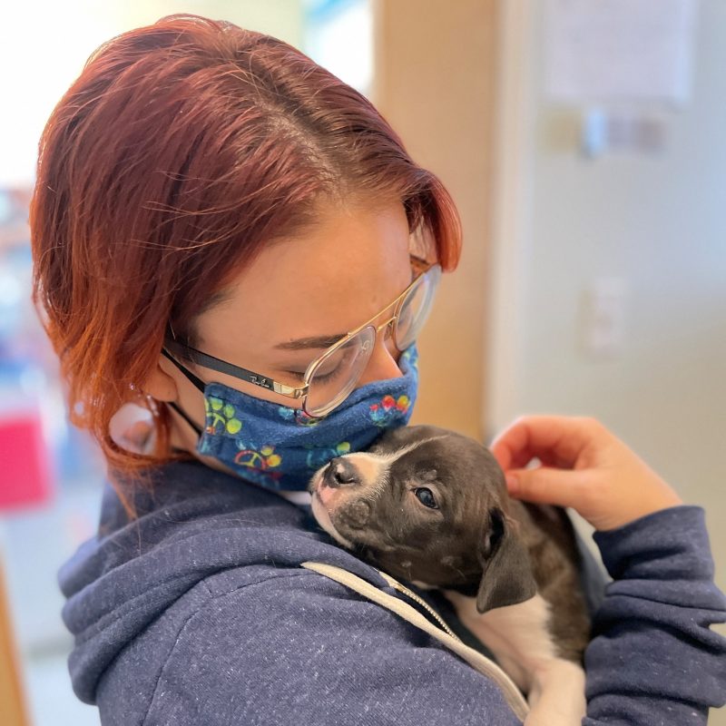 woman giving puppy snuggles