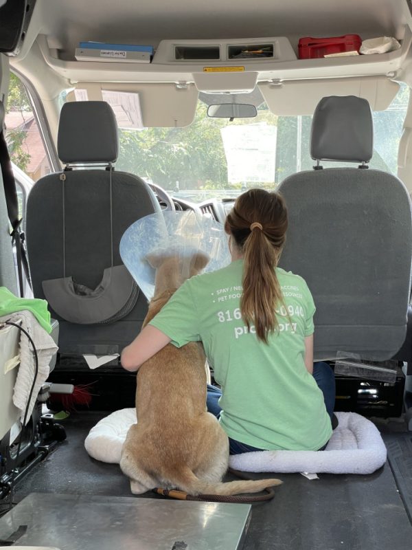 woman hugging dog while she is being transported home after surgery