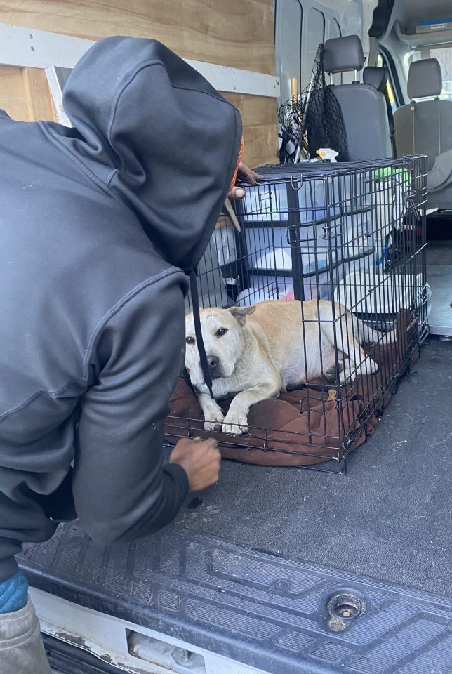 Many saying goodbye to his dog before going into surgery