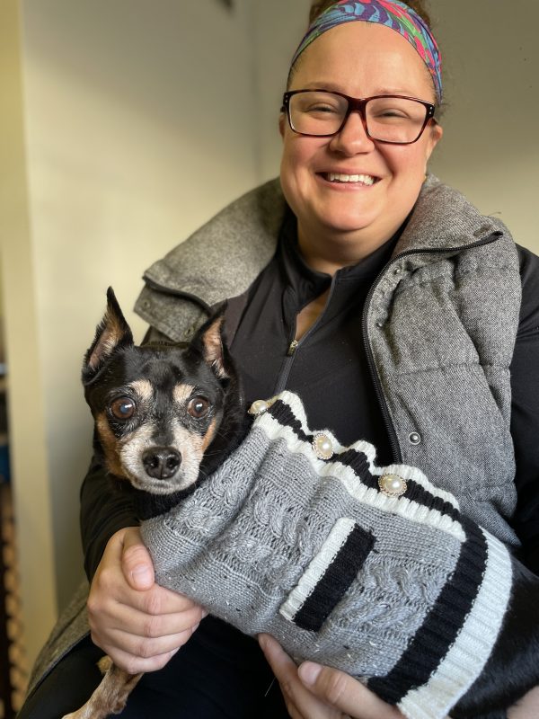 senior miniature pinscher in sweater