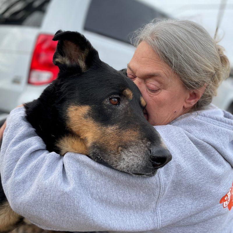 woman hugging senior german shepherd