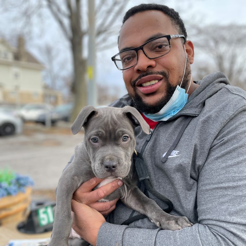 man holding pit bull puppy