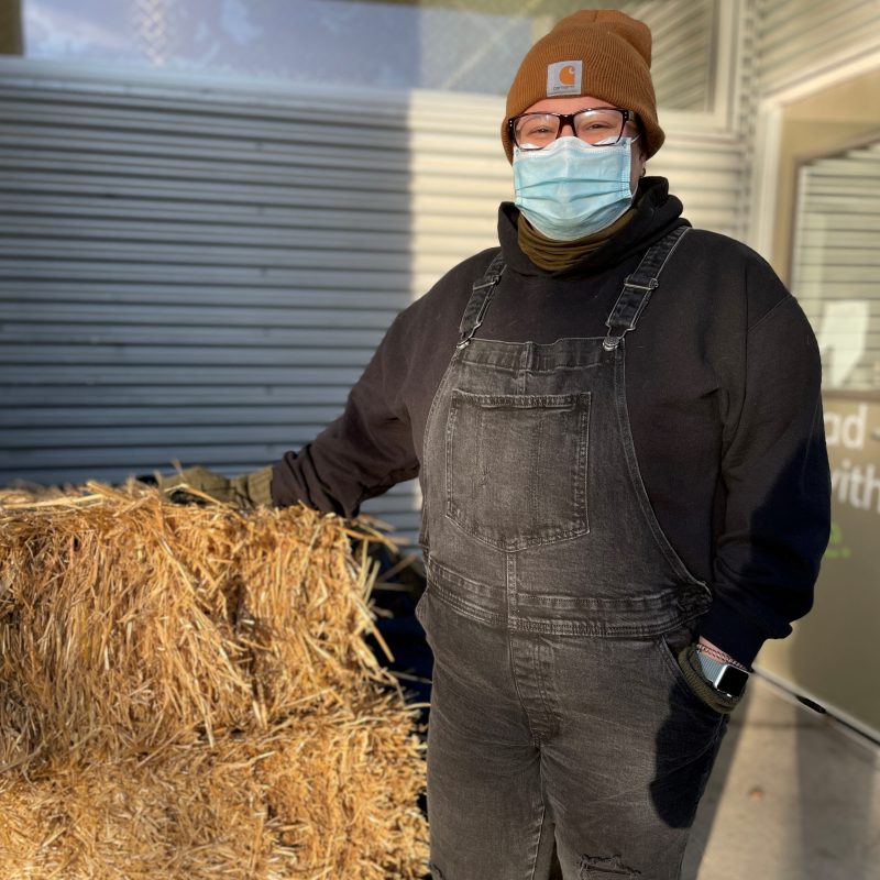 woman handing out straw for dog houses