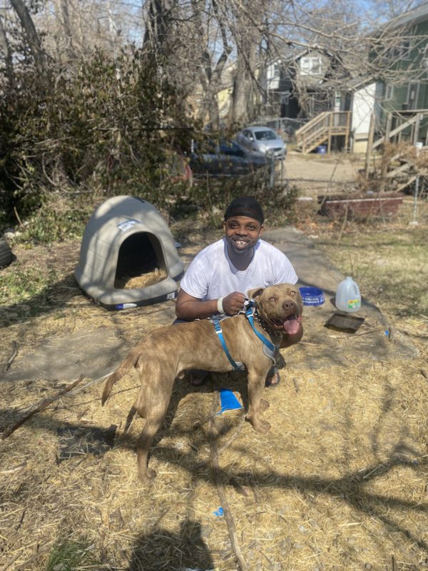 man gets dog house donated for pit bull