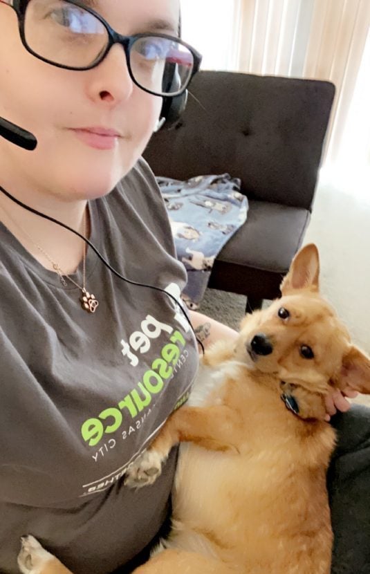 call center rep working from home with pet corgi on her lap