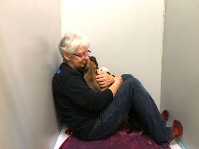 A woman sits in a large dog kennel holding a group of puppies