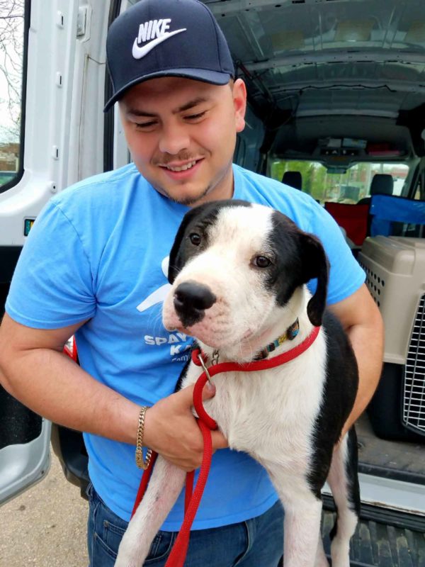 A man is lifting a black and white dog out of a transit vehicle.