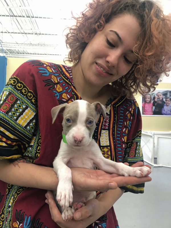 Woman holding a puppy