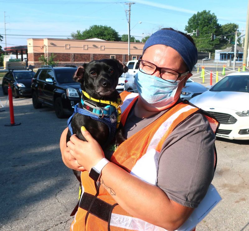 A woman wearing an orange vest holds a dog