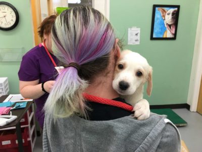 Alyx holds a puppy who looks at the camera