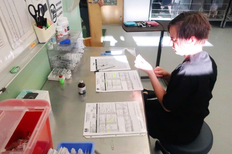 Alyx sits at the worktable and draws vaccines.