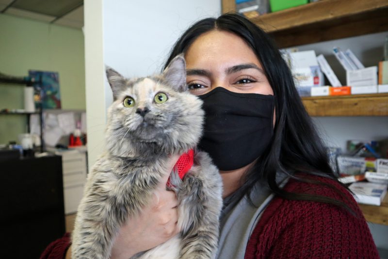 woman hugging dilute calico